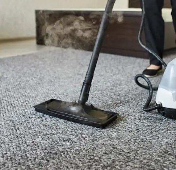 Same Day Carpet Cleaning